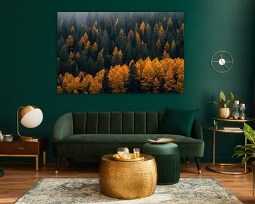 Couleurs d'automne