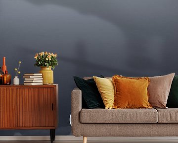 Vollmond in Schwarz und Weiß von Bas Meelker