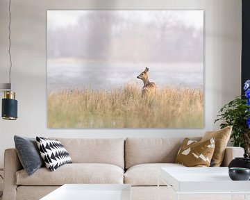 Roe deer at water's edge by Laurens de Waard