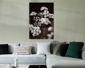 Bloemen in retrostijl van Yanuschka Fotografie | Noordwijk