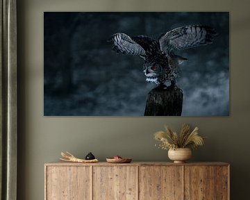 Eagle owl taking off by Nils Hornschuh