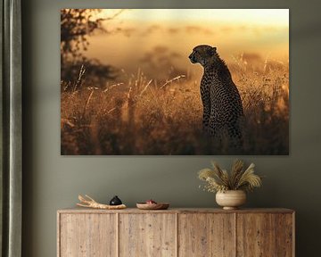 Bedel van grote kat, cheeta van fernlichtsicht