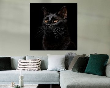 Zwarte kat portret van TheXclusive Art