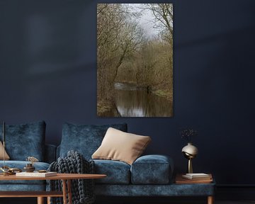 Chemin ou ruisseau dans la forêt ? sur Ingrid Bergmann  Fotografie