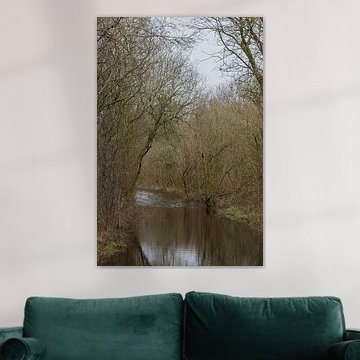 Path or stream in the forest? by Ingrid Bergmann  Fotografie
