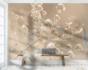 Warme champagne - beige tinten: Druppels schitteren op het pluisje van Marjolijn van den Berg