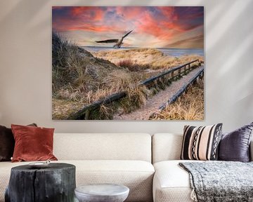 Dunes on the North Sea coast with seagull by Animaflora PicsStock