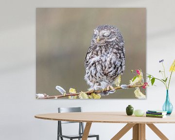 Stone owl by Lies Bakker