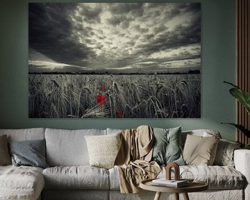 Poppy before the storm van Malte Pott