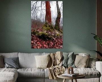 Roots of deciduous tree covered with moss by Marcus Beckert