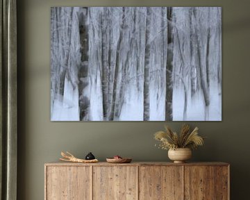 Winter forest by Oliver Lahrem