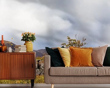 Boom bij rots op Schotse hei bij Glencoe