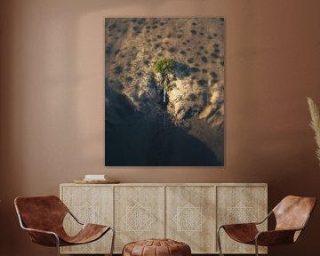Des paysages à couper le souffle, vus d'en haut