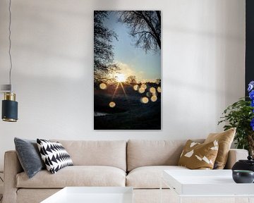 Soleil après une averse de neige