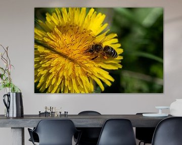 Honey bee at work by Empathies