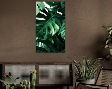 Monstera's vert feuillu sur ByNoukk