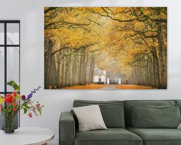 De helder glanzende gouden herfst van Yen Do