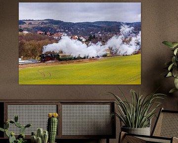 Volle kracht vooruit met de speciale trein "Rodelblitz" bij Schmalkalden - Thüringen - Duitsland van Oliver Hlavaty