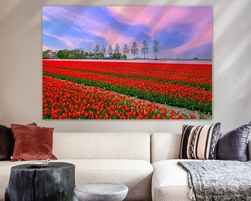 Mooie zonsondergang bij de tulpen velden bij Lisse in Nederland van Eye on You