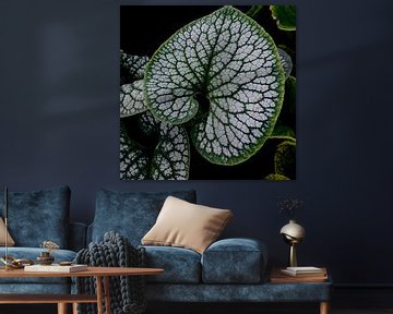 Beautiful leaf structure by YVON Bilderbeek