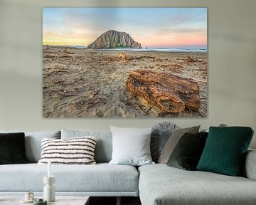 Van drijfhout tot Morro Rock van Joseph S Giacalone Photography