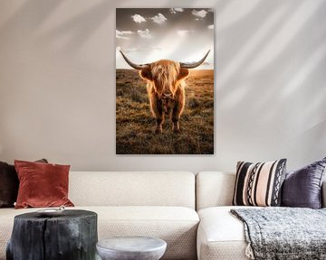 Scottish Highland cattle by Voss Fine Art Fotografie