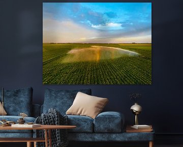 Aardappelplanten in een veld met een watersproeier van Sjoerd van der Wal Fotografie