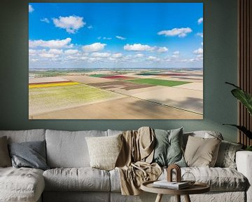 Tulips in agricutlural fields during springtime seen from above by Sjoerd van der Wal Photography