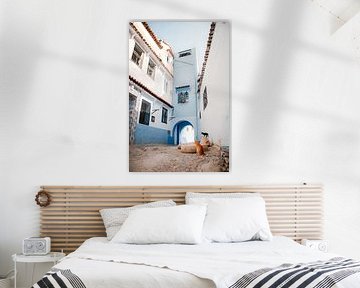 Hidden streets of Morocco