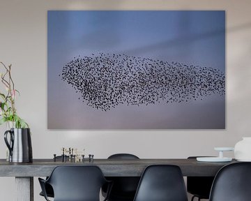 Spreeuwen wolk met vliegende vogels in de lucht tijdens zonsondergang van Sjoerd van der Wal Fotografie