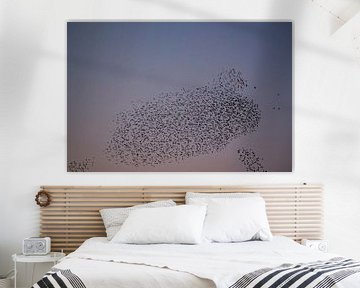 Starling murmuration with flying birds in the sky during sunset by Sjoerd van der Wal Photography