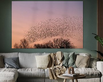 Starenmurmeln mit fliegenden Vögeln am Himmel bei Sonnenuntergang von Sjoerd van der Wal Fotografie