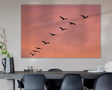 Crane birds flying in a sunset during autum by Sjoerd van der Wal Photography