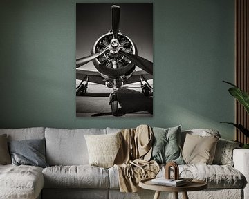 propeller by Frank Peters