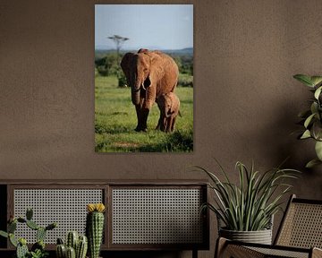 Lovely Elephants by Aniek Wessel