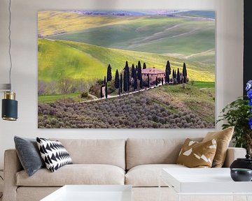 Frühling im Val d'Orcia