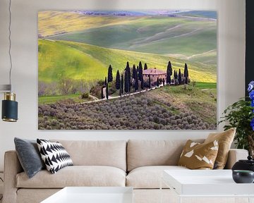 Le printemps dans le Val d'Orcia sur Dirk Rüter