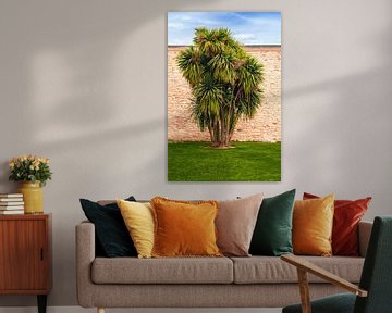 Een palmboom in een sultanische omgeving van Shewalsky