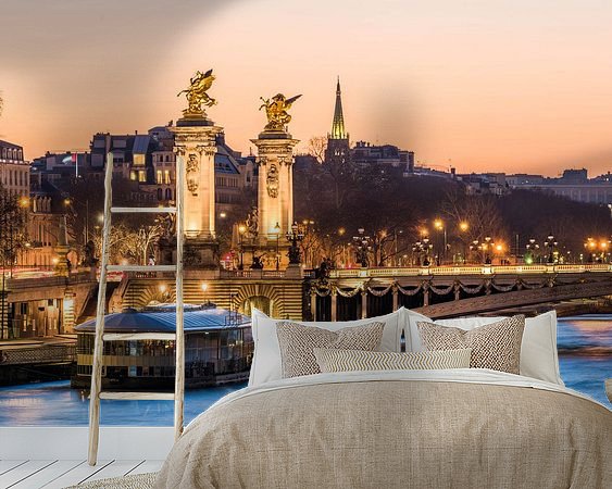 Aperçu de la chambre