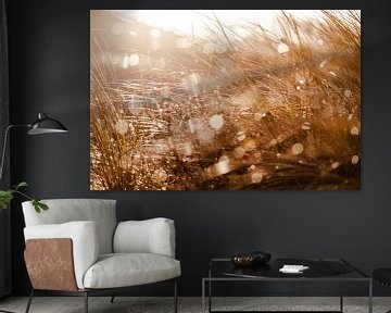 Dunes de Noordwijk après la pluie sur Yanuschka Fotografie | Noordwijk