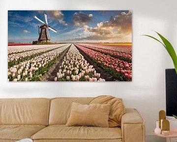 Windmühle im Tulpenfeld bei Sonnenuntergang, Kunstdesign von Animaflora PicsStock