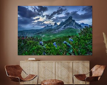 Gentian on the alpine pasture in the high mountains of the Dolomites in Italy by Voss Fine Art Fotografie