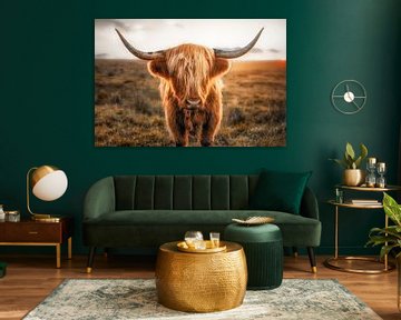 Scottish Highlander / Scottish Highland Cattle by Voss Fine Art Fotografie