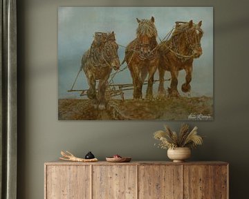 Walcheren plough horses by Wim Romijn