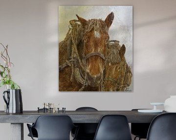 Rester à la ferme sur Wim Romijn