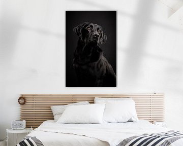 Fine-art portret elegante Labrador Retriever van Lotte van Alderen