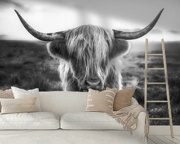 Schottisches Hochlandrind / Scottish Highlander in schwarzweiß von Voss Fine Art Fotografie