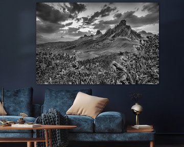 Enzian auf der Alm in den Dolomiten in schwarzweiß von Manfred Voss, Schwarz-weiss Fotografie