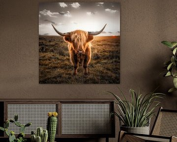 Scottish Highland cattle by Voss Fine Art Fotografie