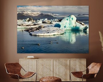 Eider ducks in front of an icy landscape